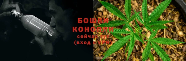 молекула духа Лабытнанги