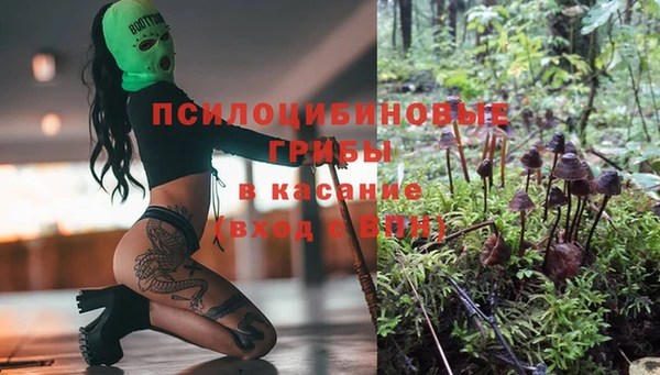 мет Лагань