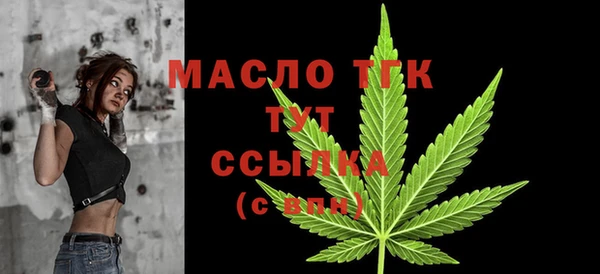 молекула духа Лабытнанги