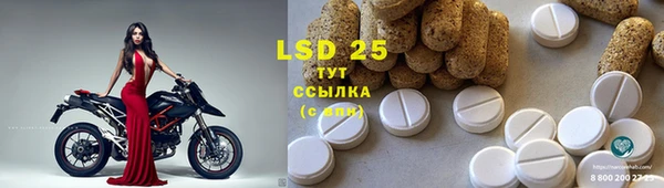 молекула духа Лабытнанги
