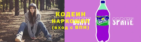 молекула духа Лабытнанги