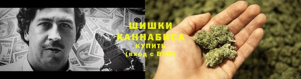 хмурый Ладушкин