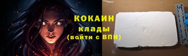 молекула духа Лабытнанги