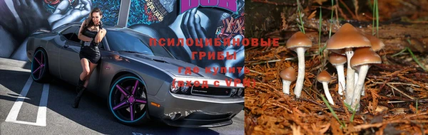 мет Лагань
