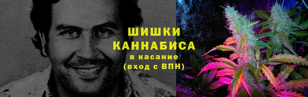мет Лагань