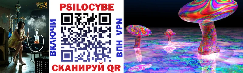 Псилоцибиновые грибы MAGIC MUSHROOMS Алагир